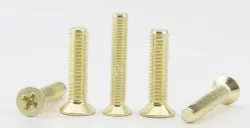 Golden Flat Head Screws M3*3