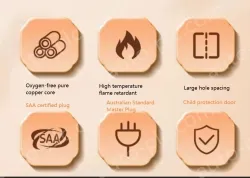 Australia Master Switch 2Plug+2USB Wireless Model