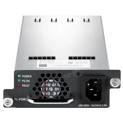 100W pluggable power module